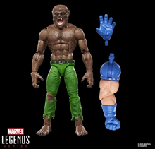 Cargar imagen en el visor de la galería, Marvel Legends - The Executioner BAF WAVE COMPLETA (7 piezas) - $4,599 ($999) - ENE-FEB 2026