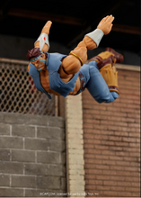 Cargar imagen en el visor de la galería, JADA - Ultra Street Fighter II: The Final Challengers - T. Hawk - $729($249) JUN-JUL