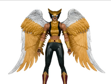 Cargar imagen en el visor de la galería, McFarlane - DC Multiverse - Collector Edition - Hawkgirl (Kendra Saunders) - $849($299) - AGO-SEP 2026