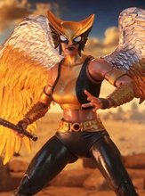 Cargar imagen en el visor de la galería, McFarlane - DC Multiverse - Collector Edition - Hawkgirl (Kendra Saunders) - $849($299) - AGO-SEP 2026