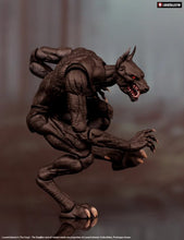 Cargar imagen en el visor de la galería, LOOSECOLLECTOR - The Crypt: Dogmen (Black) - $1899 ($499) NOV-DIC