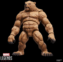 Cargar imagen en el visor de la galería, Marvel Legends - The Amazing Spider-Man - Marvel's Grizzly - $999
