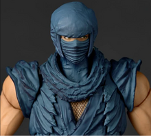 Cargar imagen en el visor de la galería, Kaiyodo - Yamaguchi Revoltech - Tecmo's 1988 Ninja Gaiden - Ryu Hayabusa - $1,999 ($499) - FEB-MAR 2027
