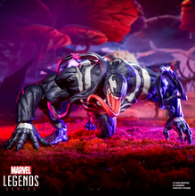 Cargar imagen en el visor de la galería, Marvel Legends - Marvel Rivals - Venom &amp; Jeff the Land Shark 2Pack - $1,499 ($399) SEP-OCT 2026

