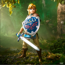Cargar imagen en el visor de la galería, Hasbro -The Legend of Zelda: Tears of the Kingdom - Heroes of Hyrule  - Link - $679($199) - JUN-JUL2027

