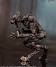 Cargar imagen en el visor de la galería, LOOSECOLLECTOR - The Crypt: Dogmen (Grey) - $1,899 ($499) NOV-DIC 2026

