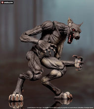 Cargar imagen en el visor de la galería, LOOSECOLLECTOR - The Crypt: Dogmen (Grey) - $1,899 ($499) NOV-DIC 2026
