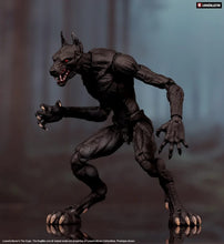 Cargar imagen en el visor de la galería, LOOSECOLLECTOR - The Crypt: Dogmen (Black) - $1899 ($499) NOV-DIC
